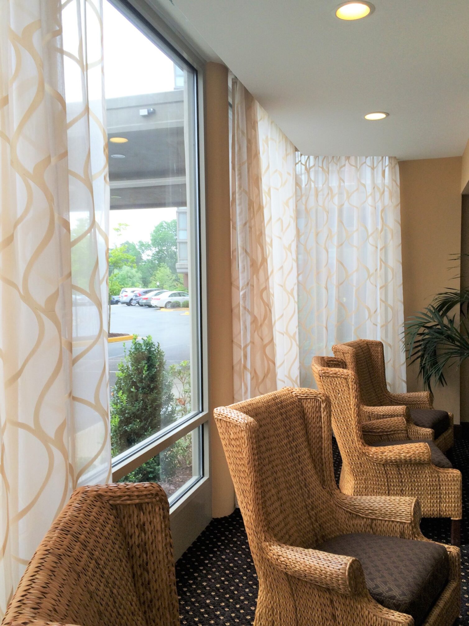Lobby Sheer Panels