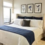 Accent Throw Blanket and Euro Pillows