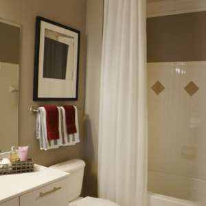 Drapery Designs Bathroom 202303 KentlandBathroom